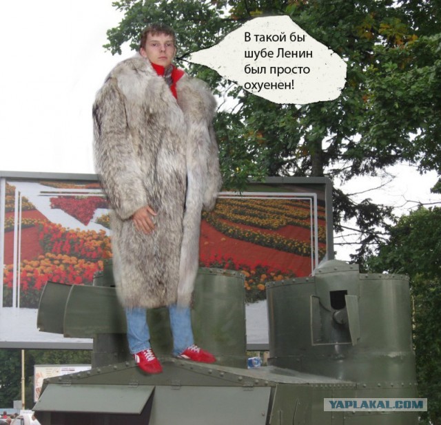 Никогда