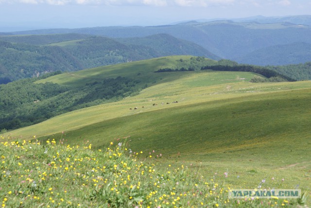 Карачаево-Черкессия
