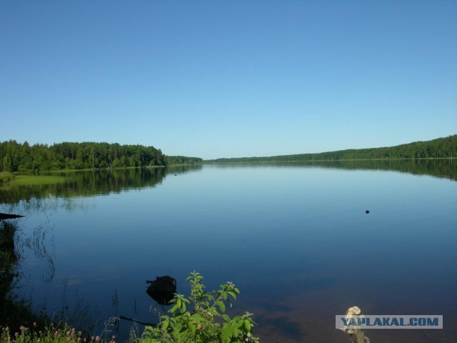 Как я отдыхаю