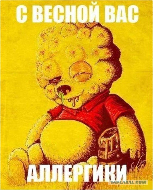 Немного черного юмора...