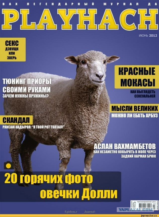 Смешные комментарии из социальных сетей (апрель)