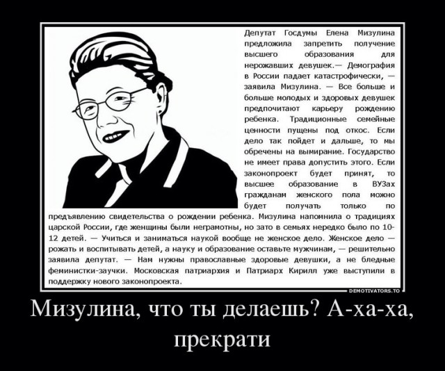 90 тысяч россиян просят проверить Мизулину