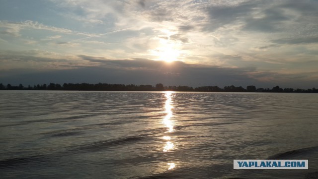 Лето. Кама. Фидер.