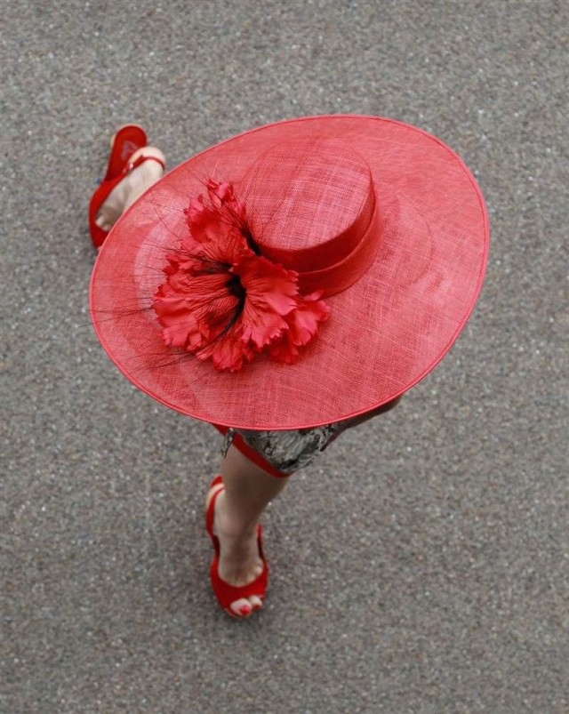 Лучшие фото июня