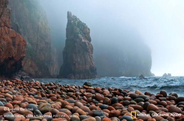 National Geographic,избранное...