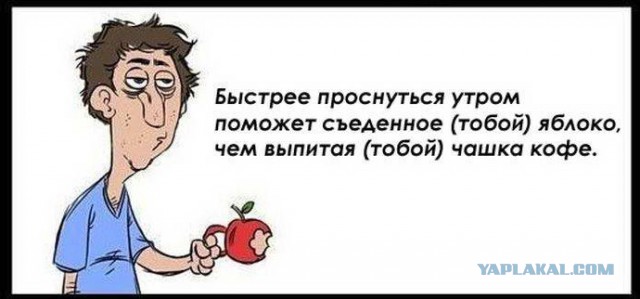 Интересные факты о разном
