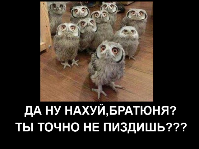 Чего хотят мужчины?