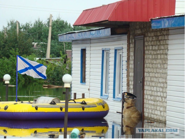 Памятник собаке по кличке Дружок