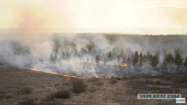 Лесные пожары в Бурятии продолжаются