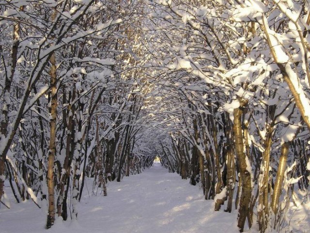 ЗИМА. Зимние картинки, отмороженная подборка
