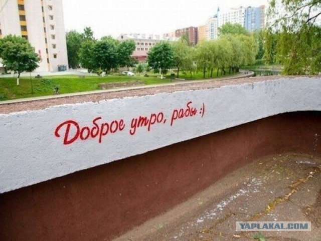 Стали известны гонорары звёзд на свадьбе сына  миллиардера Гуцериева