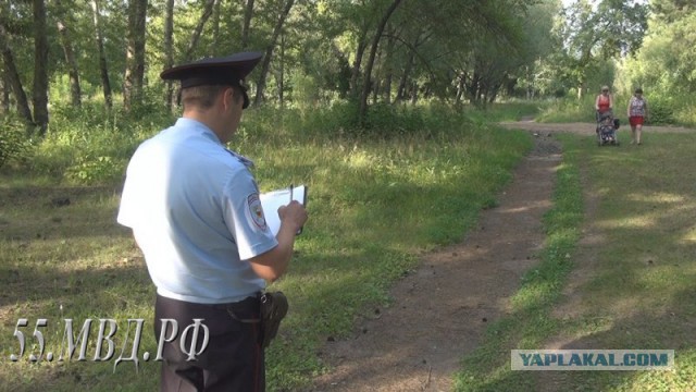 В парке нашли брошенного младенца.