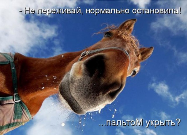 Соседка сверху