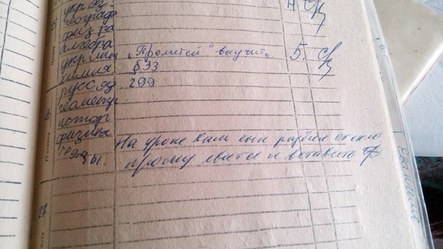 Замечания в дневниках