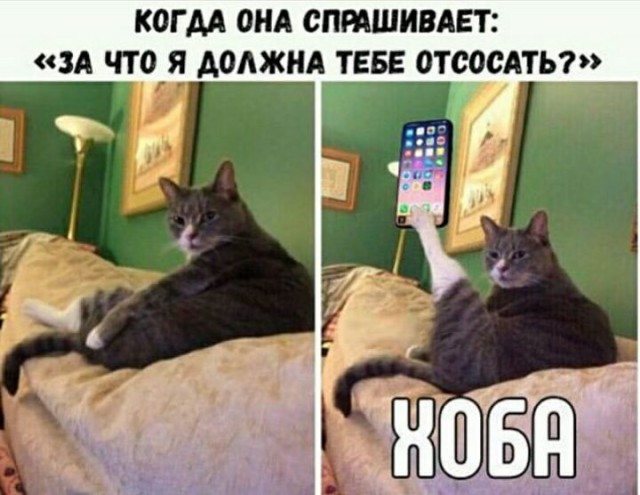 Небольшая подборка бредовых и не очень картинок
