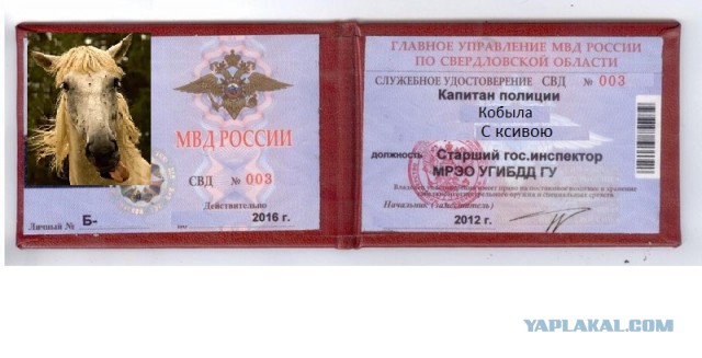 Самые странные угрозы от управляющей компании, что мне доводилось видеть