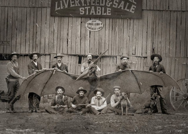 Наркоманских анекдотов с картинками