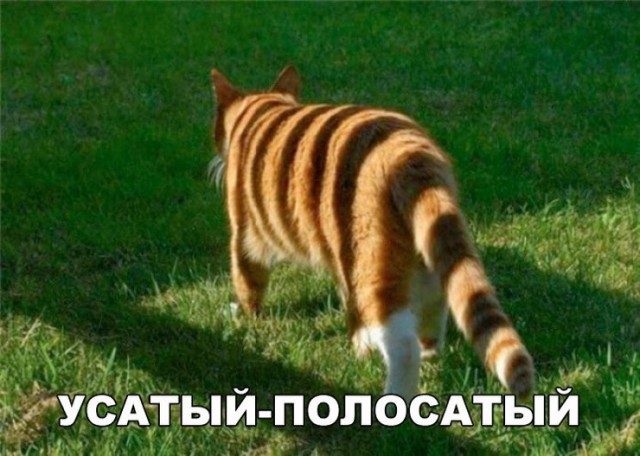 Немного картинок в эту субботу