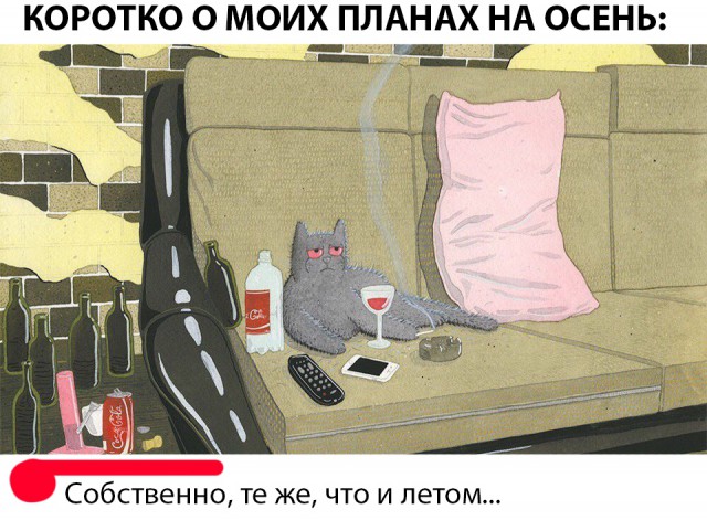 Нестандартный юмор