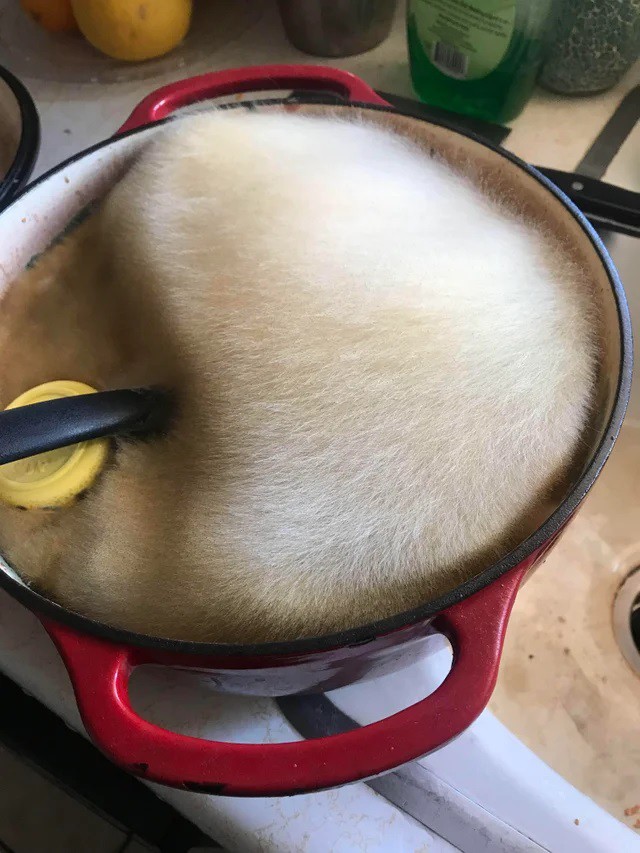 Ну очень вчерашний борщ