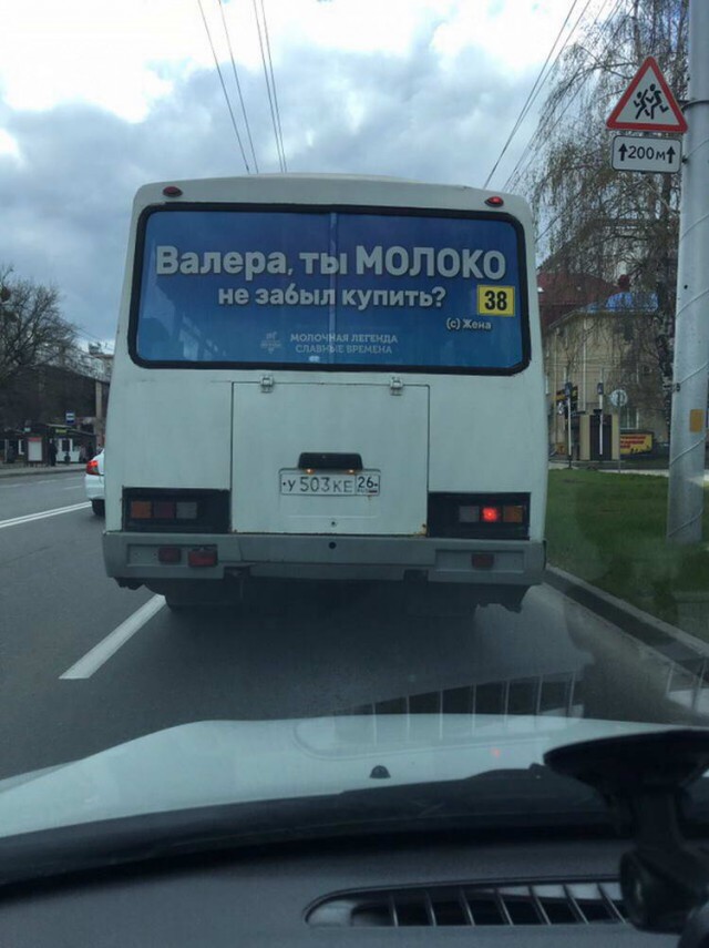 Скотсети и прочие интернеты 25.04.2019