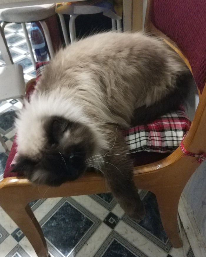 Скоро