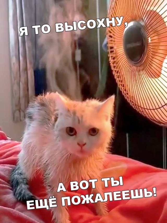 Позитивные картинки на 28.06.2020