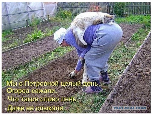Женская "любовь"