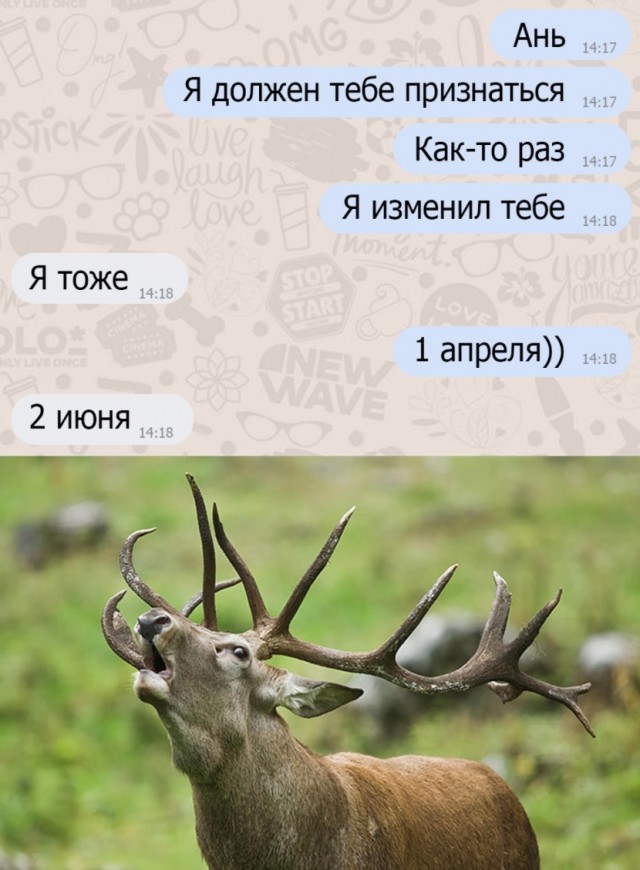Кретинизмы из ЛМ и ЛЩ 21.02.21