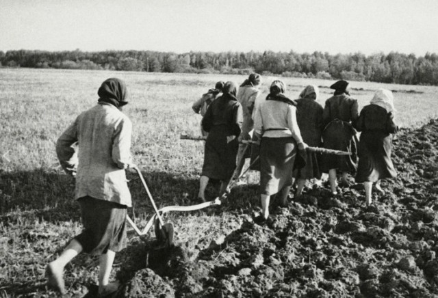 Строительство Сталин-центра начинается в Нижегородской области