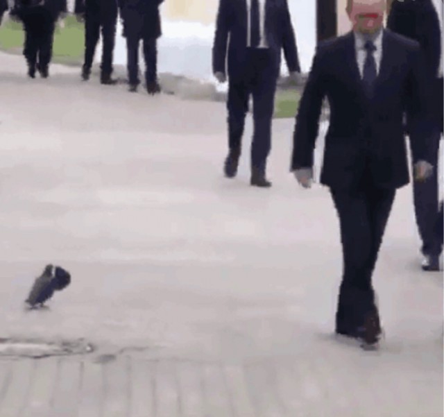 Традиционно самые пристальные наблюдатели за Парадом Победы в Москве были на высоте