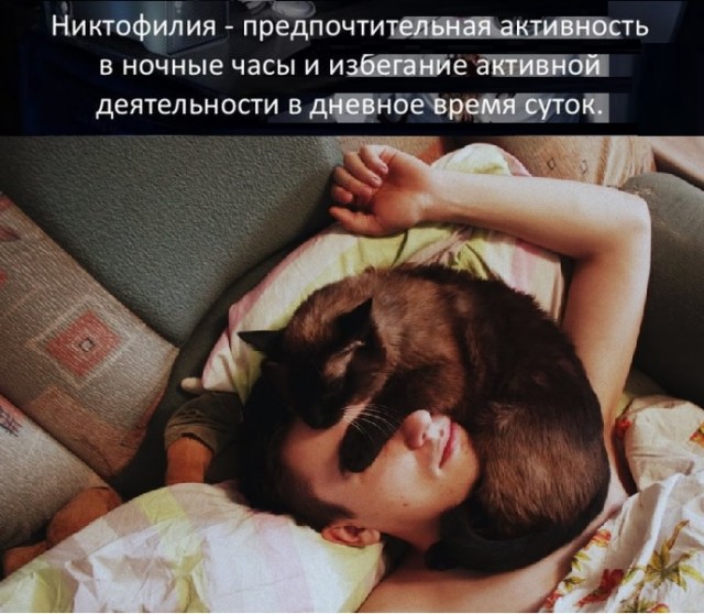 Занимательные факты о разном