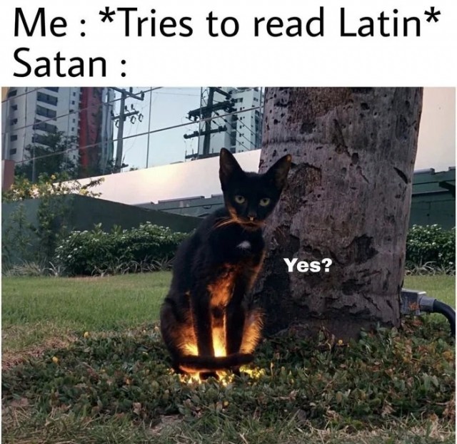 Весёлый полтишок 26.09