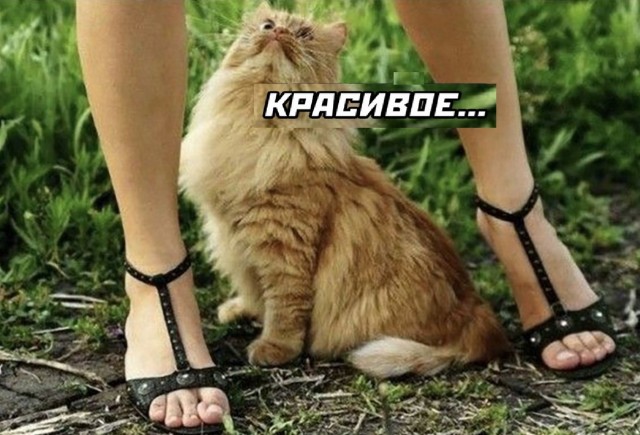Так себе картинки 10.10.21