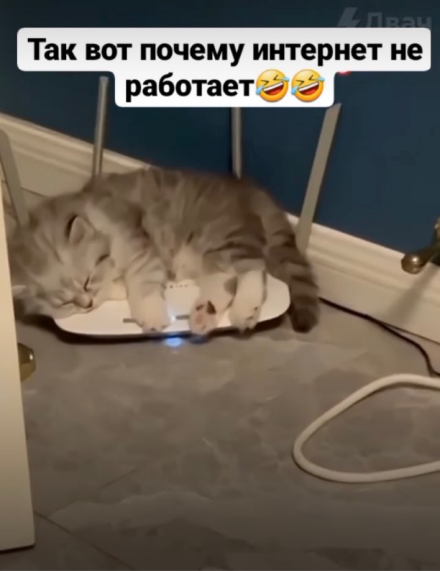 Картинки и мемы для настроения 13.12.2021