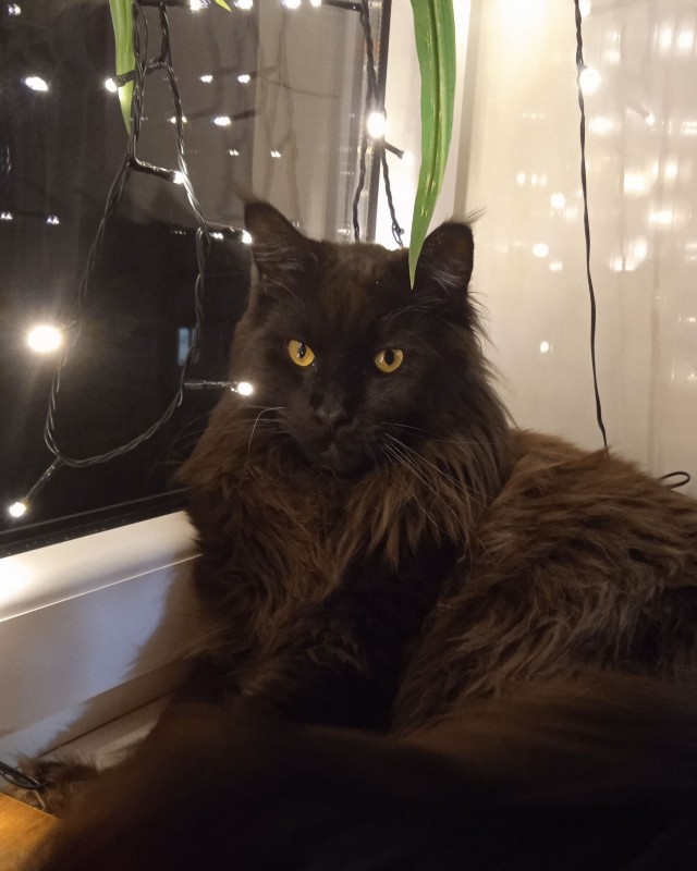 Котовторниковское