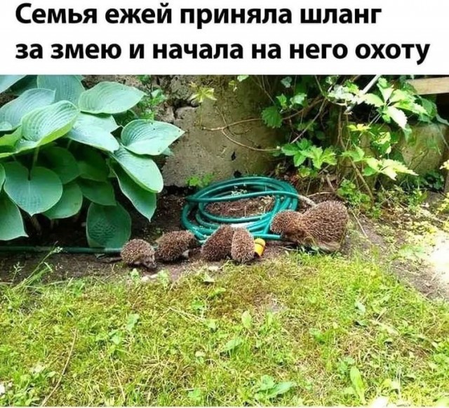 Так себе картинки 03.03.22