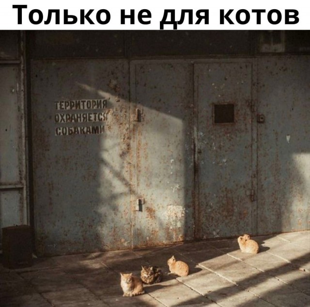 Так себе картинки 19.03.22