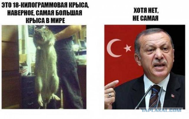 Турция хоть и член НАТО, но санкции вводить не будут, а расчёты готовы вести с Россией в национальных валютах