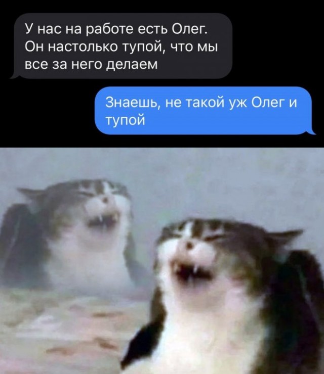 Картинки и мемы для настроения - 27