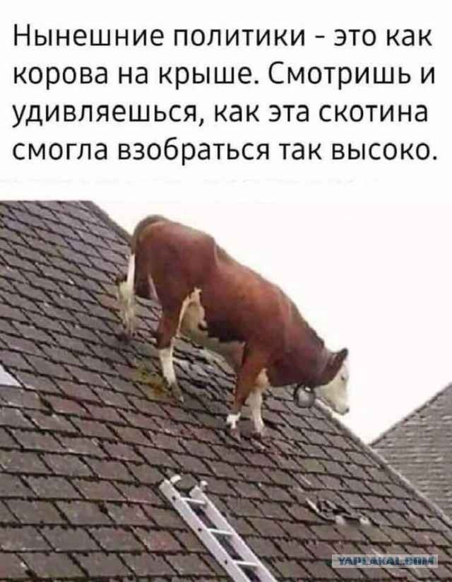  Премьер-министра Финляндии отрывается
