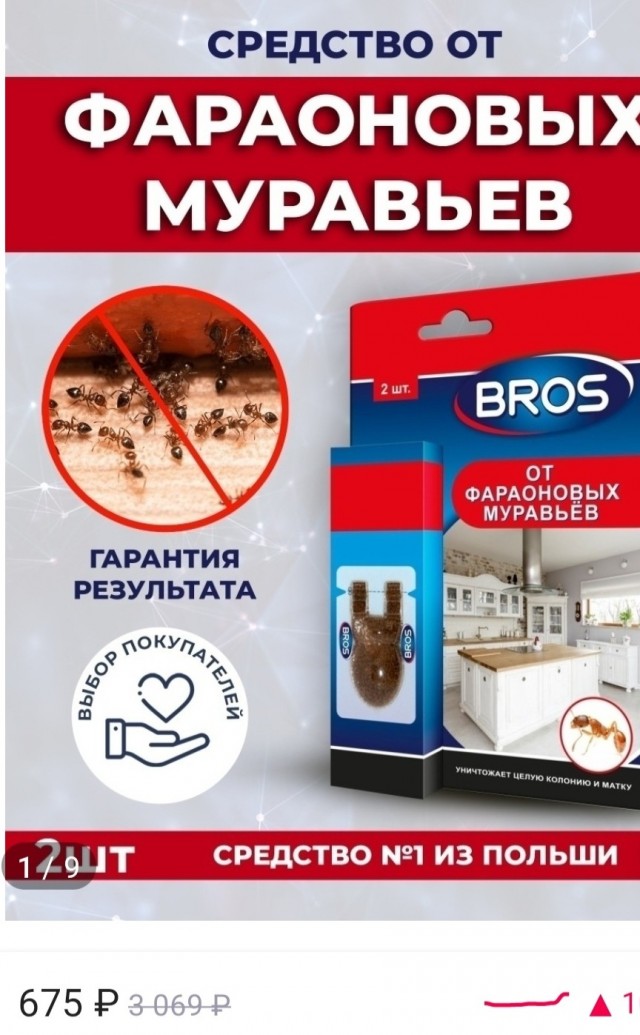 Один день из жизни муравьев с близкого расстояния.
