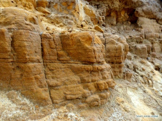 Генералы песчаного карьера