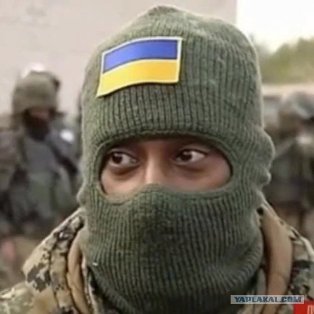 Привет из Сирии.