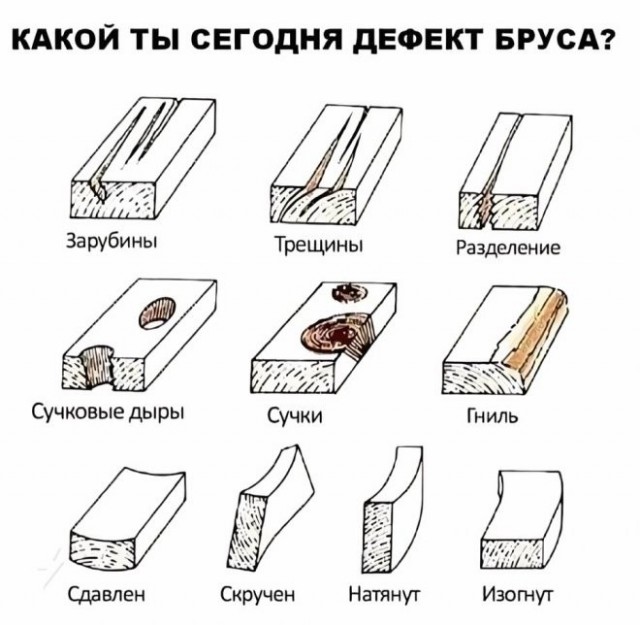 Прикольные картинки с надписям
