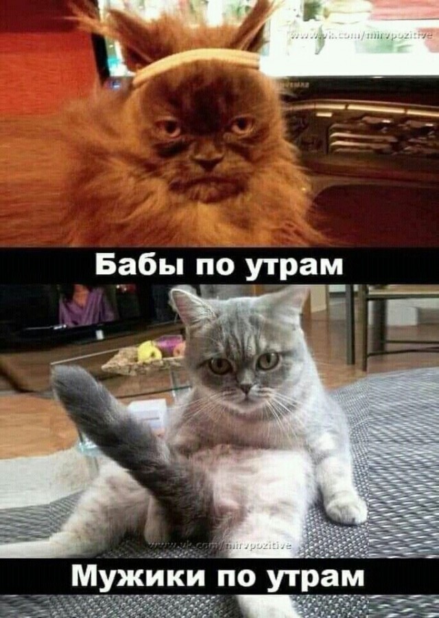Юмор в картинках и без