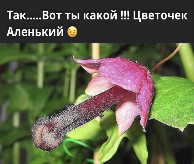 Картинки со смыслом