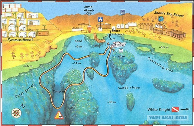 Синайские приключения. Шарм-эш-Шейх и окресности