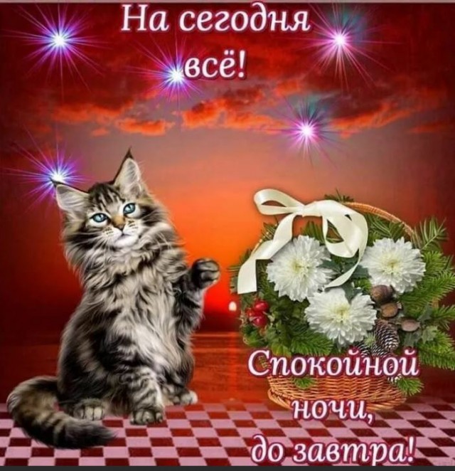Победная поступь идиотизма по планете – том 3