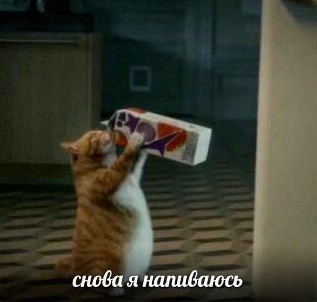 Перлы 10.12.22